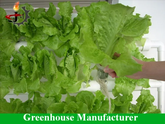 Four Season Green House Energy