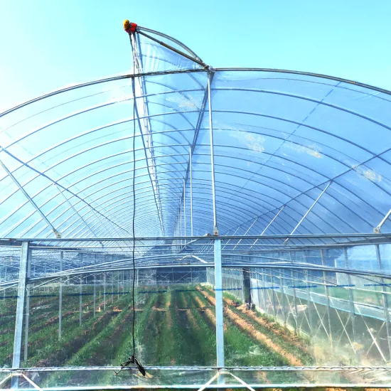 Agriculture Tensile and Wear Resistance Long Life Greenhouse Film for Tomato Flowers Nursery Seedlings Bed