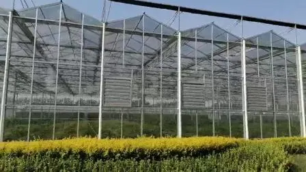 Cheap/Agriculture/Farm/Polycarbonate/Glass/Multi