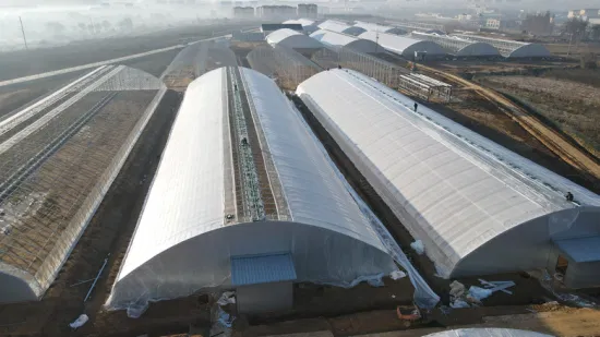 High Quality Single Arch Greenhouse Steel Structure