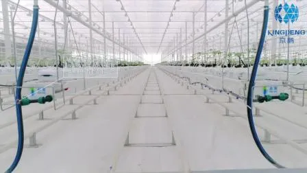 Vegetable Growing Greenhouse with Plastic Film