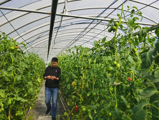 10000m2 Agricultural/Commercial /Multi