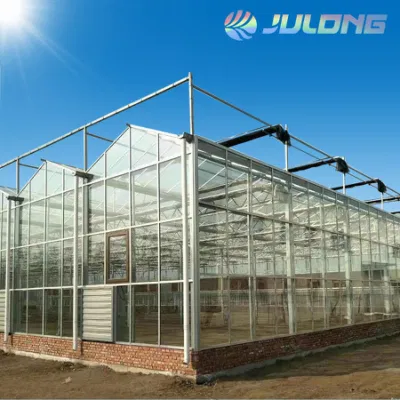 High Quality Steel Pipe Agricultural Green House Steel Structure with Glass Covering