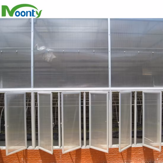 8mm/ 10mm Used Polycarbonate Greenhouse Commercial Multi Span/Single Span PC Sheet Greenhouse for Sale